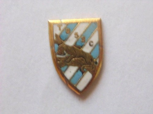 Insigne miniature indochine - insigne,
