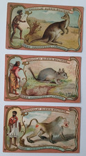 Chocolat guerin boutron carte - chocolat,