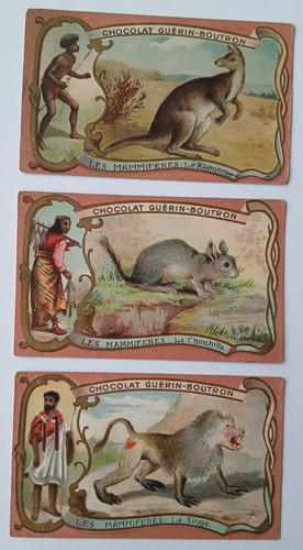 Chocolat guerin boutron - guerin, carte