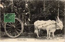 PC CHARETTE A BOEUFS ETHNIC TYPES VIETNAM INDOCHINA (a36811)