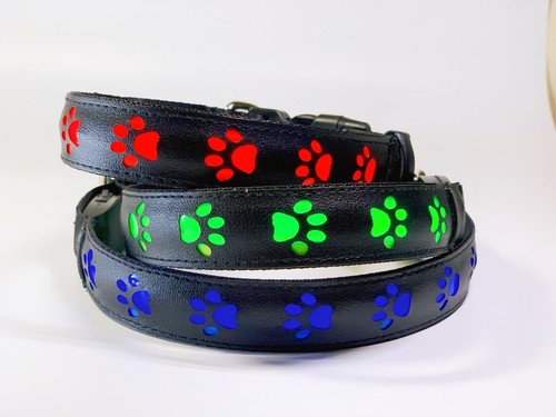 Led dog safety collar - led,