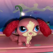 PETSHOP CHIEN CAVALIER KING CHARLES " OREILLES FOURRURE " N°2508