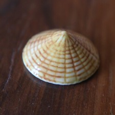 Ancienne feve CHAPEAU CHINOIS