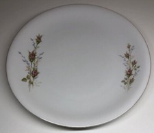 Lot5 De 4 Assiettes Plates En