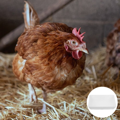 Mangeoire poules automatique - ,