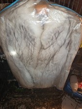 Veste Fourrure Renard Bleu