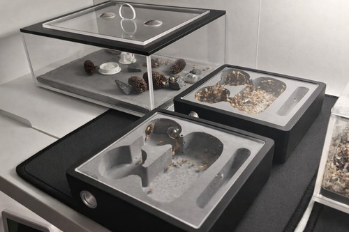 Nid fourmis kit complet - nid,
