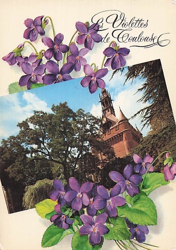 Toulouse les violettes de - violettes,