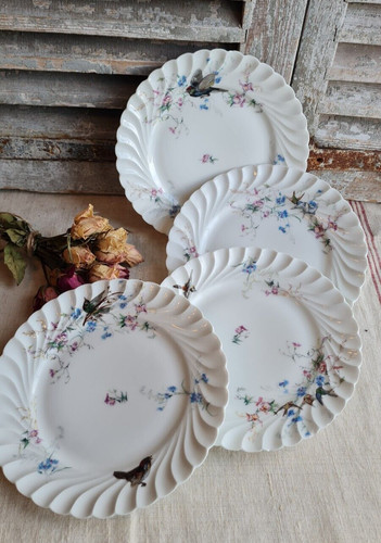 Anciennes assiettes plates - 4,