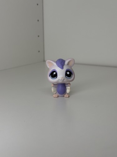 Petshop écureuil volant - ,