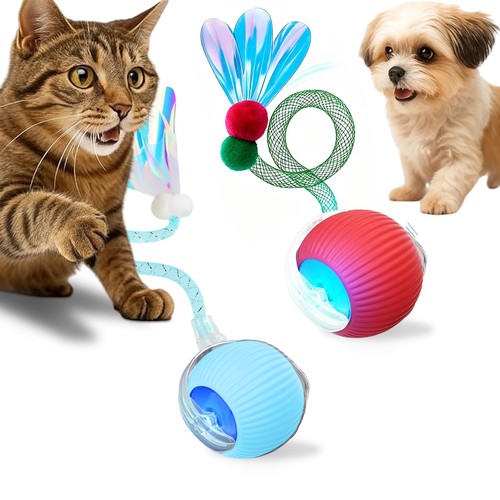 Jouet interactif pour - interactif,