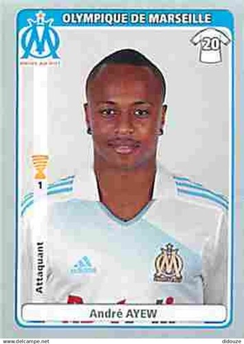 Stickers panini france foot - panini,