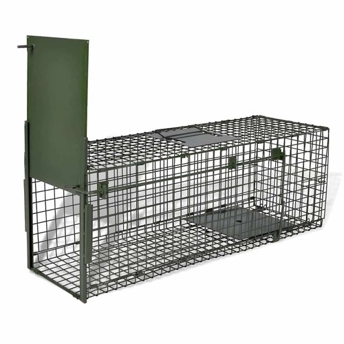 Attrape animaux avec - à,