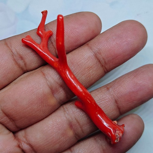 Bâton branche poli corail - de,