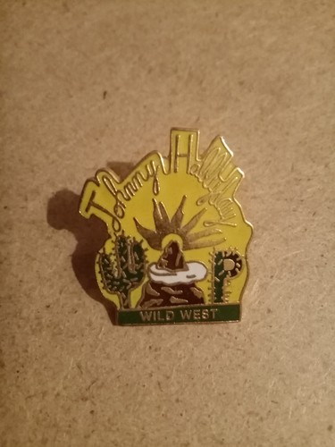 Pin johnny hallyday - pin's,
