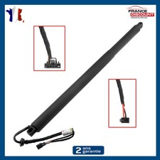 Vérin de Hayon Électrique