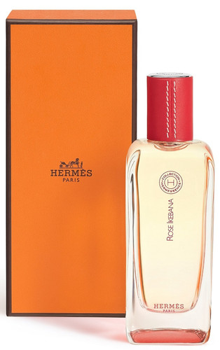 Hermes rose ikebana - rose, de