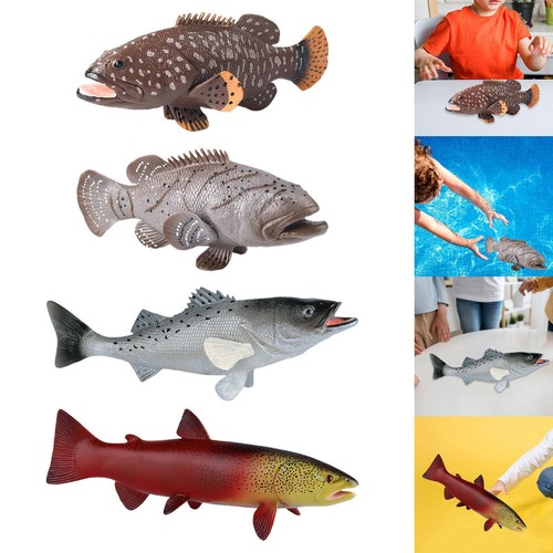 Animaux marins modèle perche