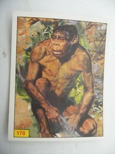 Stikers album PANINI 1992 immage Animaux Prehistorique Prehistoric Vignette #178