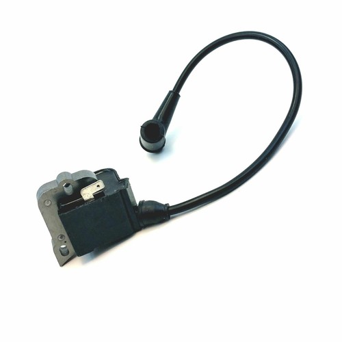 Module allumage pour - module,