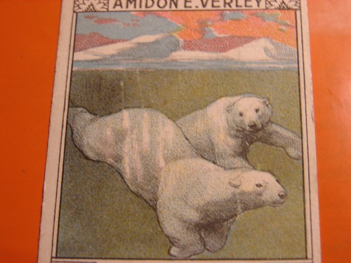 Cartes publicitaires - 5,