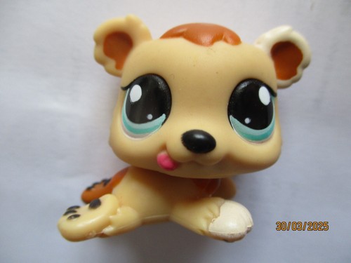 Petshop bebe ours 1554 - bebe, n°1554