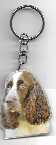 Springer anglais chien porte - springer,