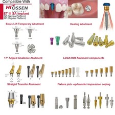 Fits Hiossen Healing