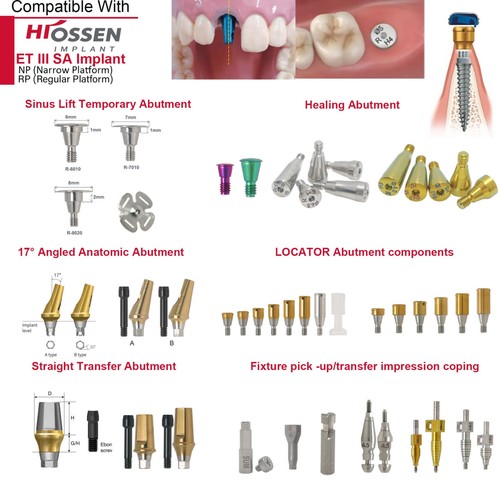 Fits hiossen healing - fits,