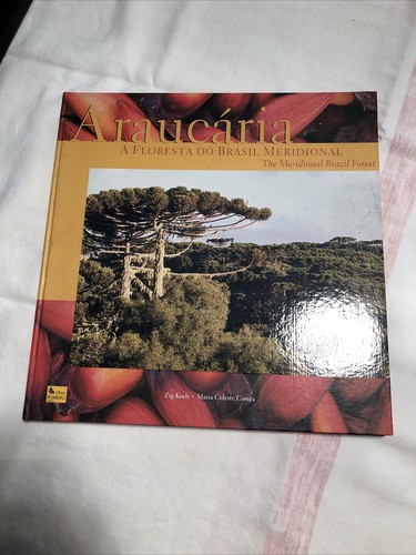 Araucaria floresta brasil - a,