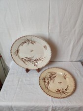 Plats Service Glaïeul