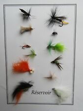 pêche mouche : lot de 12