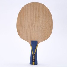Pagaie de tennis de table en