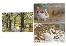 3 CPA cartes postales anciennes paysage  avec des cygnes et cygnes d'amitié ...