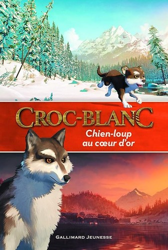 Croc blanc chien loup au - chien-loup,