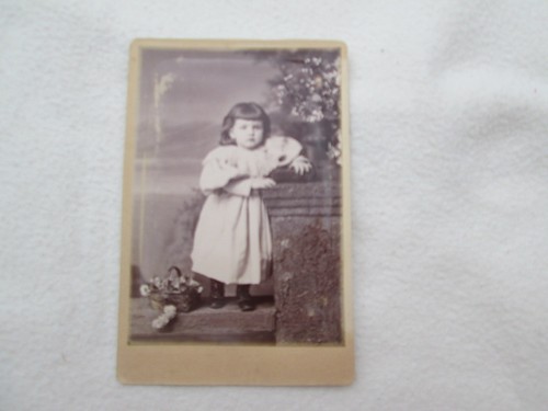 Photo 16x11 petit - photo,