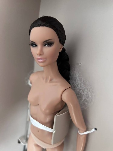 Fashion royalty erin salton - fashion,
