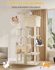 ARBRE À CHAT XXL