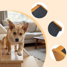 Rampe pour chien pour