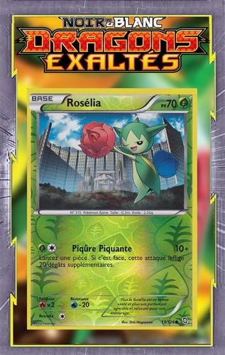 Rosélia reverse - reverse,