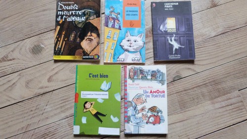 Lot petits romans - lot,