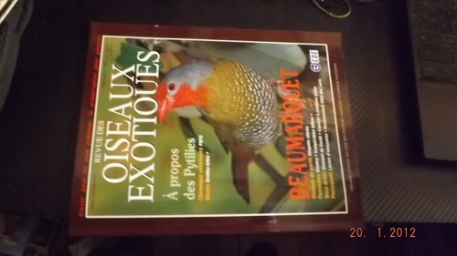 Revue cde oiseaux - oiseaux, exotiques