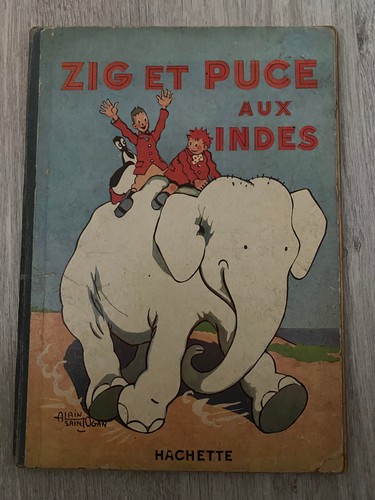 Zig puce aux indes eo - puce,