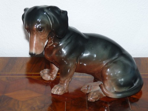 Superbe très rare - chien, en