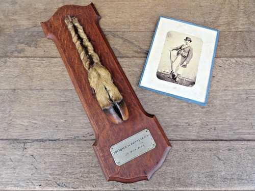 Trophée chasse xix ème pied - chasse,