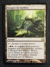 CARTE MAGIC RARE TERRAIN