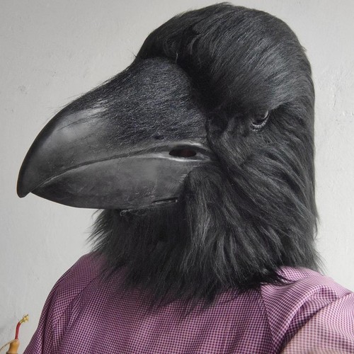 Masque oiseau pour hommes et - masque, d'oiseau