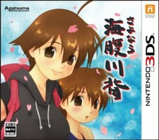 Usé Nintendo 3DS Sayonara