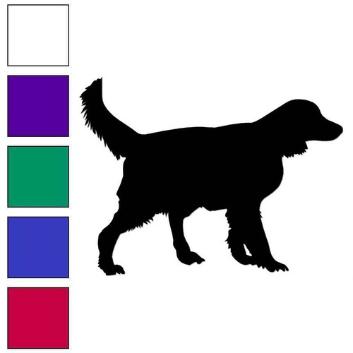 Irish setter gordon - dog,, vinyl