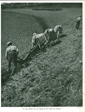 Publicité ancienne machines agricoles les durs labeurs 1941 issue de magazine